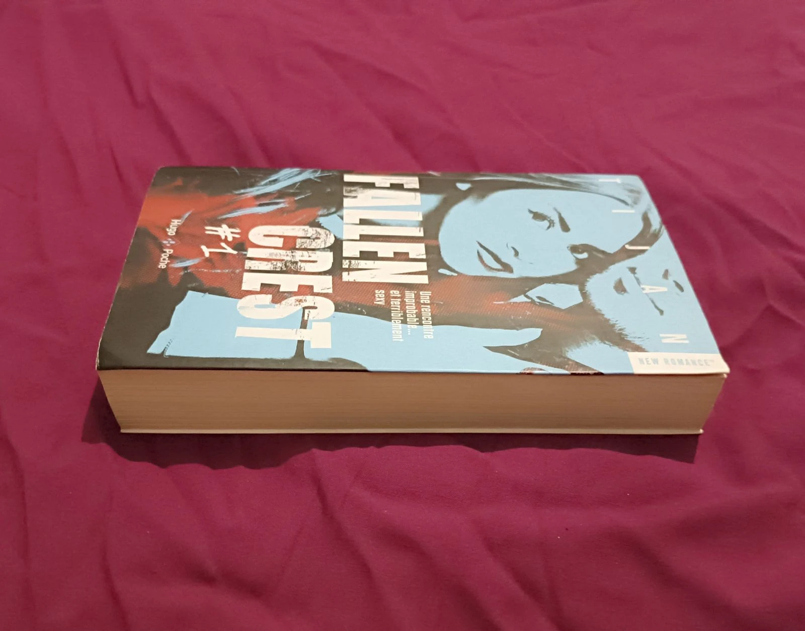 Fallen Crest Book – photo 4